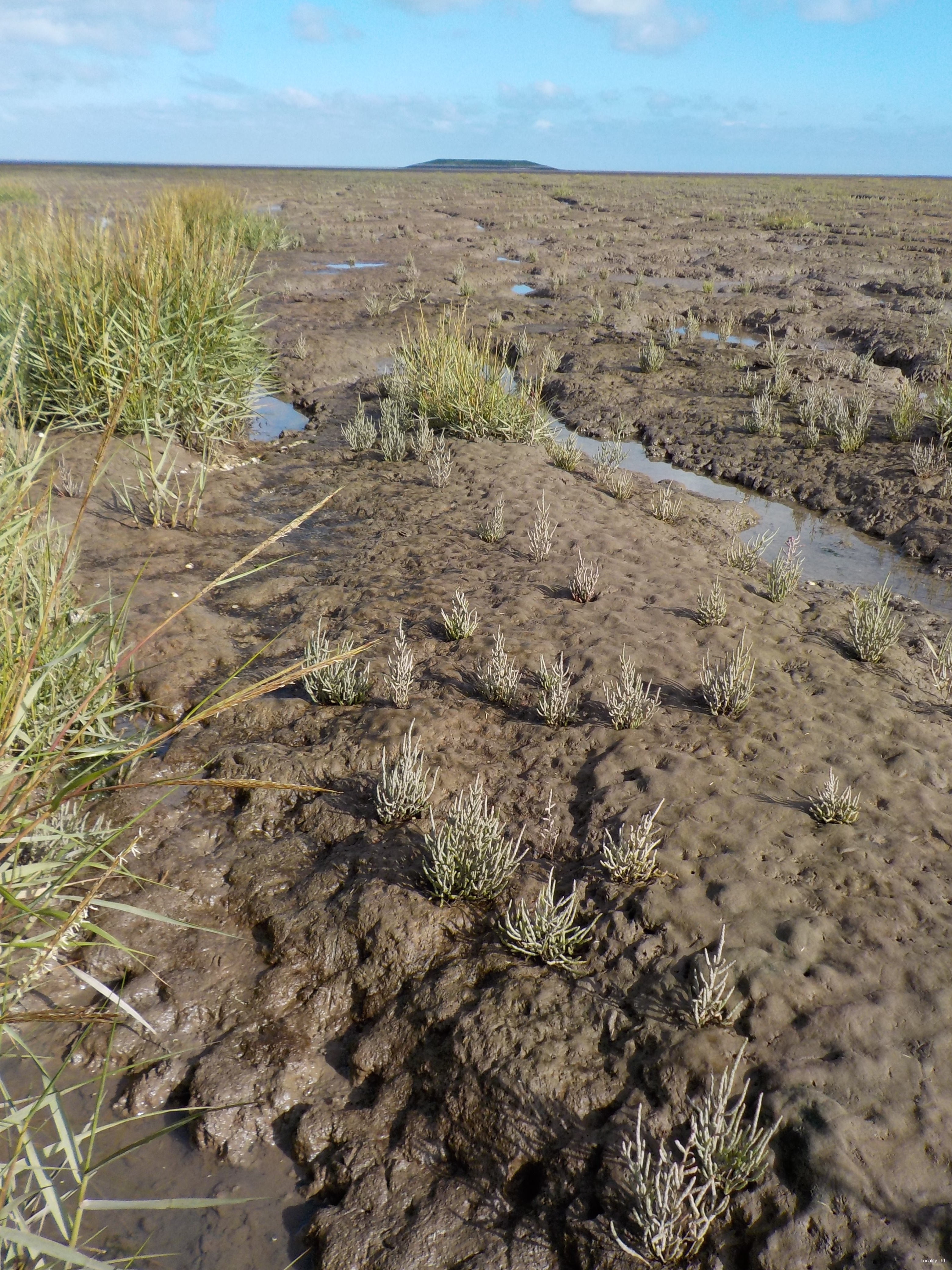 The Wash National Nature Reserve (Norfolk)